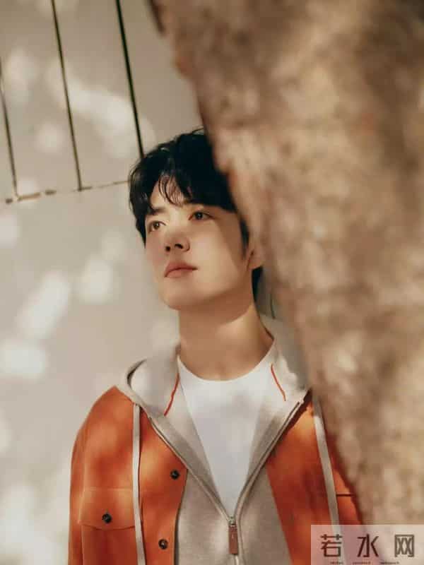 你若盛开,蝴蝶自来!《藏海传》持续大爆,肖战收获最佳男主提名