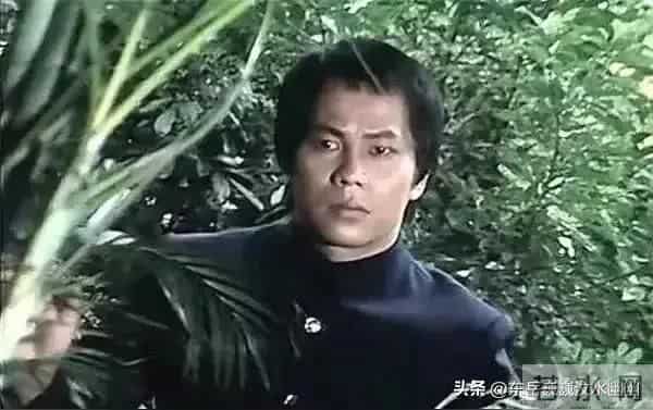 梁小龙与陈真——银幕内外的热血传奇