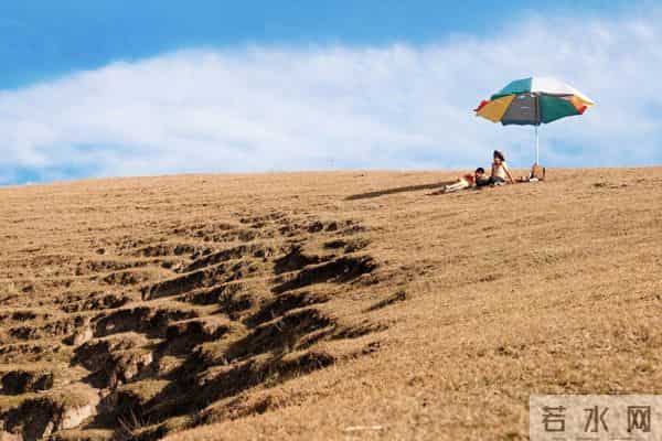第七届海南岛国际电影节全片单粹选|电影的地图