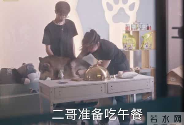 才播6集播放量破580万,任素汐令观众成功入坑,都市剧又出黑马了