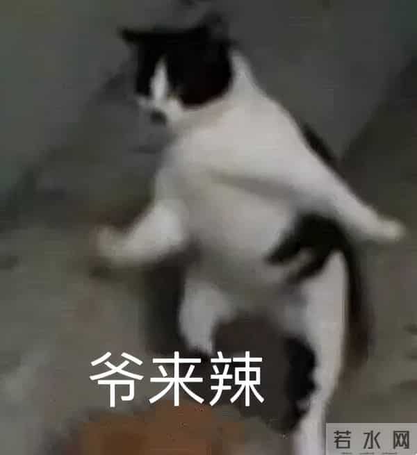 不看《狂野时代》,我的命可能都没了