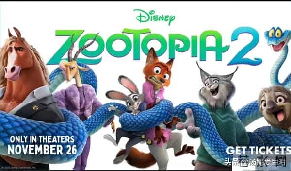 7.3亿票房炸场!《疯狂动物城2》狂欢下的撕裂