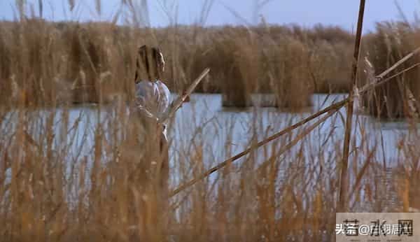 《西游降魔篇》：成魔的孙悟空，只是个想做回至尊宝的凡人