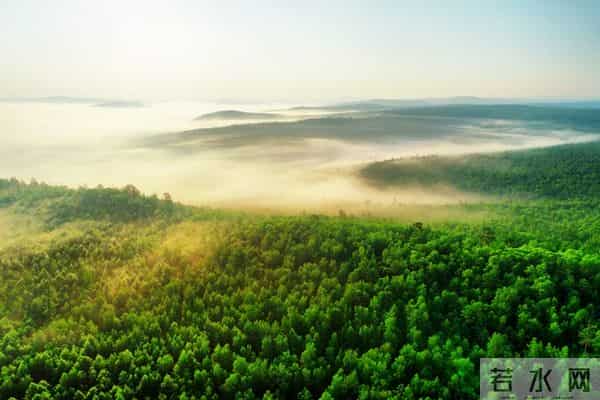 大闹一场,悄然离去。——致70后的我们