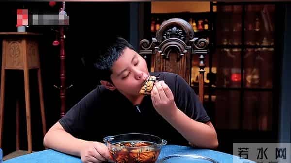 章龄之做梦也没想到，辛苦养大的12岁儿子，如今开始给陈龙长脸了