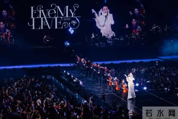 杨千嬅红馆演唱会设备故障，特技员被困半空，天后临危稳场全纪录