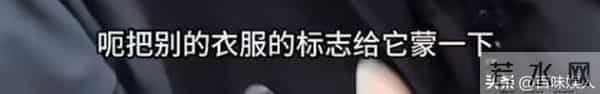 刀疤哥退赛引争议，节目组回应惨遭骂，品牌方受牵连，刀疤哥急了