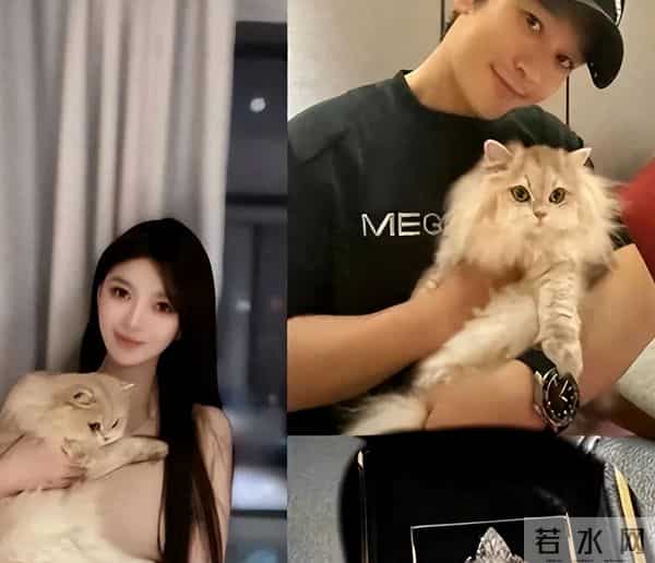 机关算尽太聪明！女儿大哭叶珂不耐烦捂耳朵，黄晓明态度不言而喻