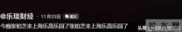 与谢霆锋分开14年后，45岁张柏芝高调官宣喜讯，原来一切早有预兆