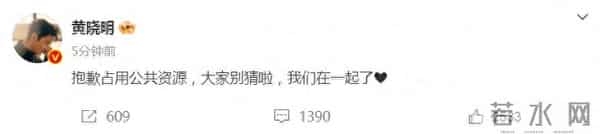 聪明反被聪明误，分手1年，叶珂至今不知道，为何她入不了黄家门