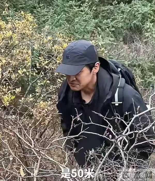 胡歌带田朴珺爬财神山，她喊“宝总”撒娇要做饭，互动甜到像情侣