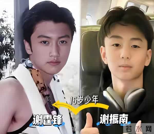 一步错步步错，看了谢霆锋对张柏芝的评价，才发现他们曾爱的很深