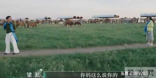 何美延离不了婚，她已经被梁淞母子吃干抹净了！