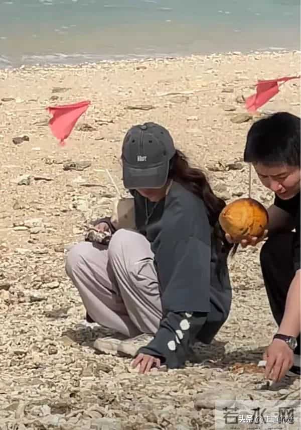 郭碧婷现身三亚情人岛 素颜穿着朴素 怀里抱着椰子 蹲在沙滩上捡石头