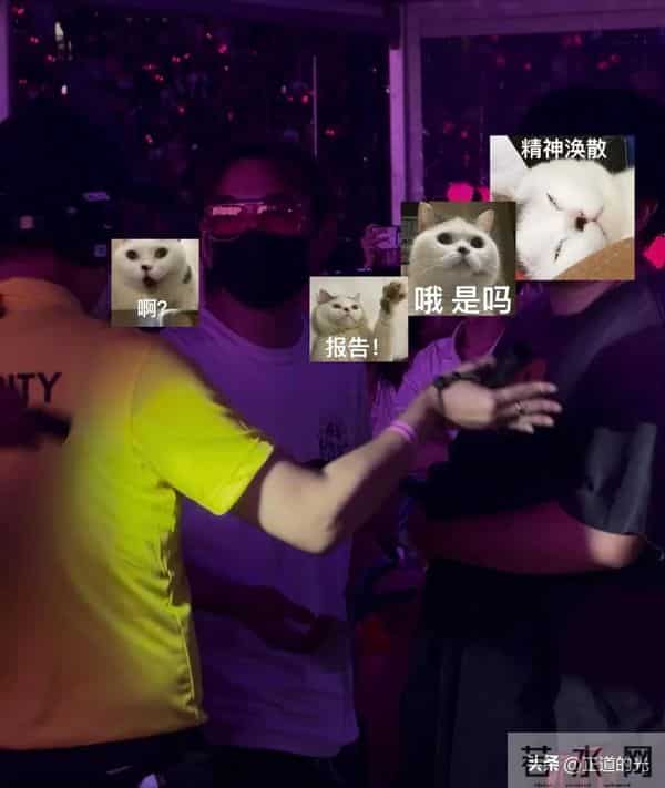 王思聪消费降级 吃老破小路边摊 看演唱会挡路人镜头 懒懒素颜像金晨