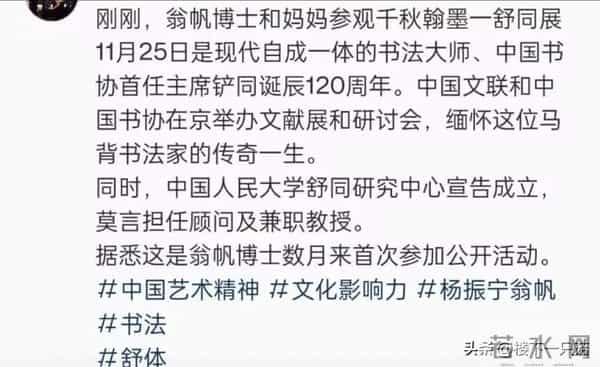 杨振宁去世46天后 翁帆首次公开露面 素颜穿黑衣面带笑容 陪妈妈看展