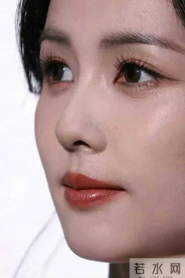 红地毯上的——白鹿