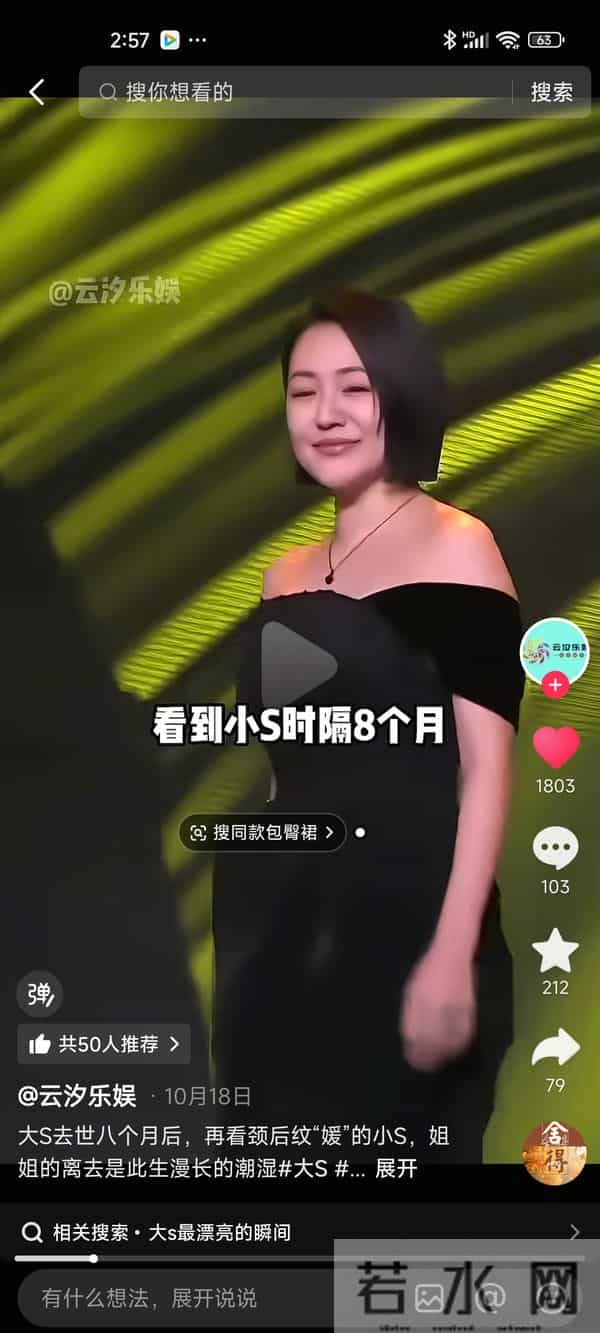 大S离世，亲妹妹小S为什么不照顾大S的儿女？