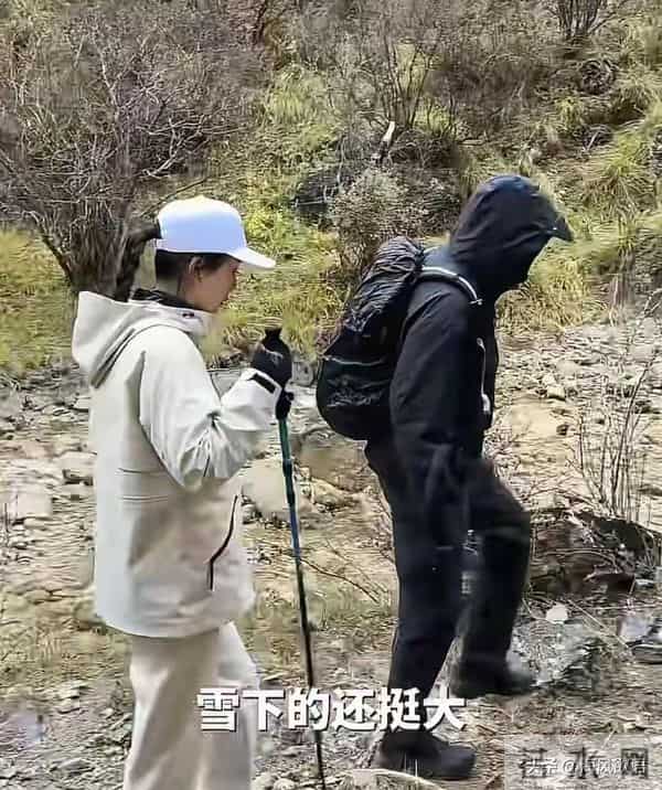 胡歌带田朴珺爬财神山，她喊“宝总”撒娇要做饭，互动甜到像情侣