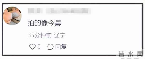 王思聪和懒懒新加坡约会,吃苍蝇餐馆消费降级,一行为遭路人吐槽