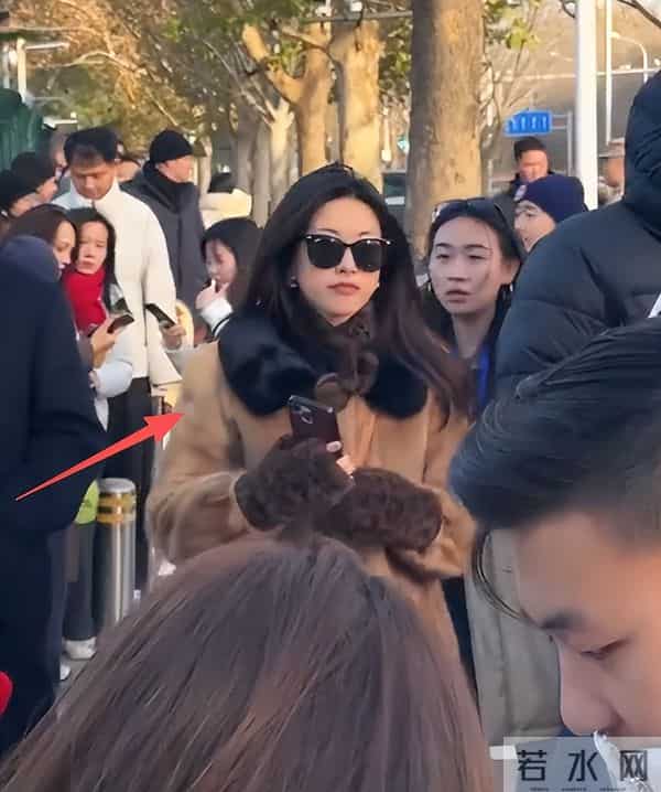 朱珠一家德国逛街，穿貂皮臃肿显土气，挤兑老公被网友怒喷