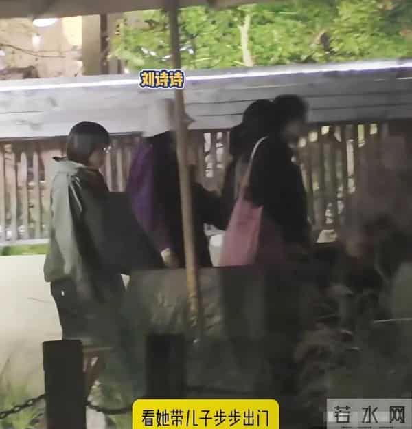 刘诗诗带儿子出来玩！6岁步步不回家被妈狂追扛上车，心疼吴奇隆