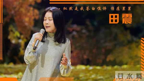 国内挣钱国外花！59岁定居澳洲的田震回国内开演唱会，遭网友群嘲