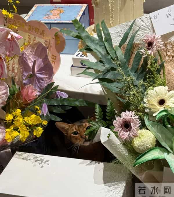 黄轩女友秀恩爱，在一起5年仍很甜，网友：这才是我们想要的嫂子