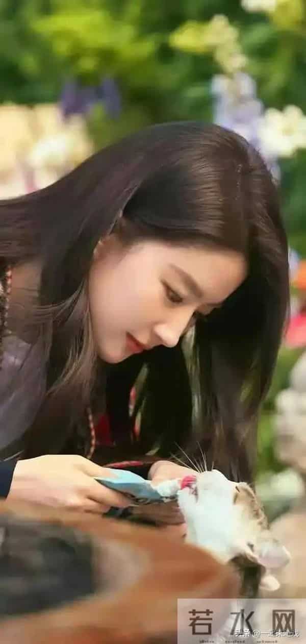 刘亦菲的美,清冷仙气,美得人不敢靠近