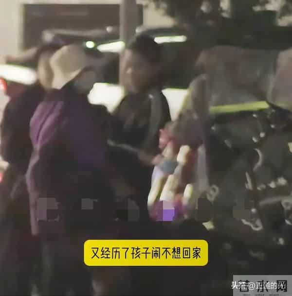刘诗诗被6岁儿子牵手跑险些摔倒 步步不回家撒泼打滚 妈妈硬拖上车