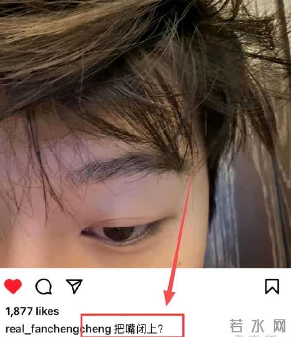 范丞丞提名金莲花最佳男配角