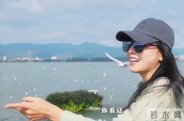 片酬不少拿，演啥啥不行的“戏混子”明星，求求放过观众眼睛吧！