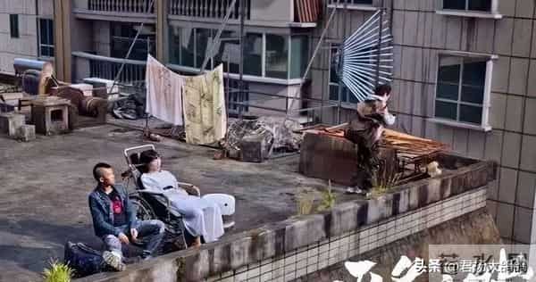 “一尿”成名，被嘲“驴脸”的37岁任素汐，凭什么能够一火再火