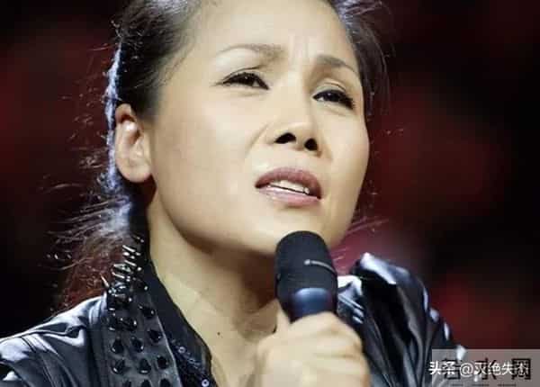 国内挣钱国外花！59岁定居澳洲的田震回国内开演唱会，遭网友群嘲