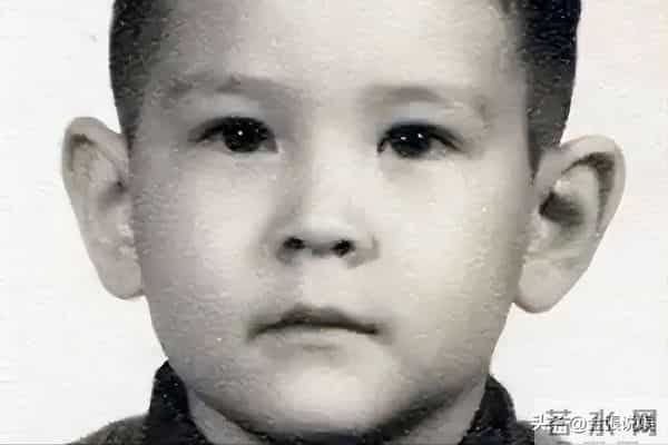 费翔在英国独居