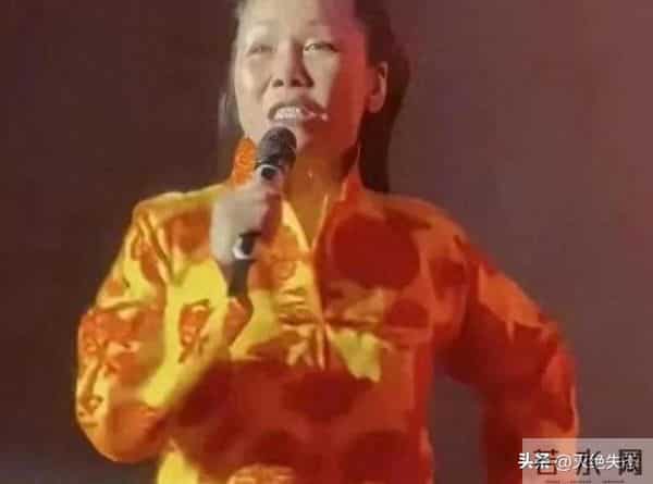 国内挣钱国外花！59岁定居澳洲的田震回国内开演唱会，遭网友群嘲