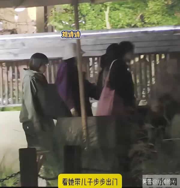 刘诗诗被6岁儿子牵手跑险些摔倒 步步不回家撒泼打滚 妈妈硬拖上车