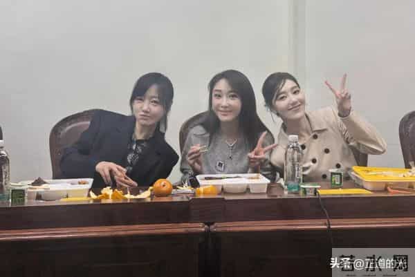 47岁薛佳凝面部浮肿 与胡歌分手后16年零绯闻 杜若溪严屹宽姨化严重