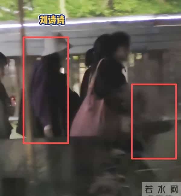 刘诗诗化身“抗娃老妈”,与儿子的日常,揭露了家庭和谐的内幕