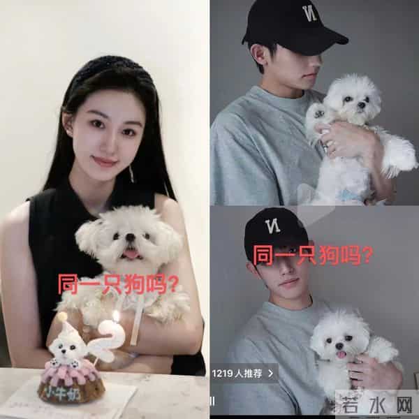 王梓莼也算是黑红了，连前男友都被扒，其长相酷似韩国男星李洙赫