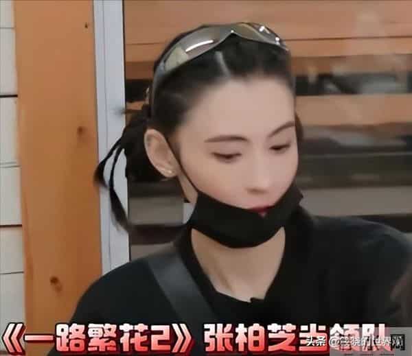 与谢霆锋分开14年后，45岁张柏芝高调官宣喜讯，原来一切早有预兆