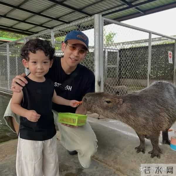 Porshe：为了儿子戒酒两年，现在要回归演艺工作了