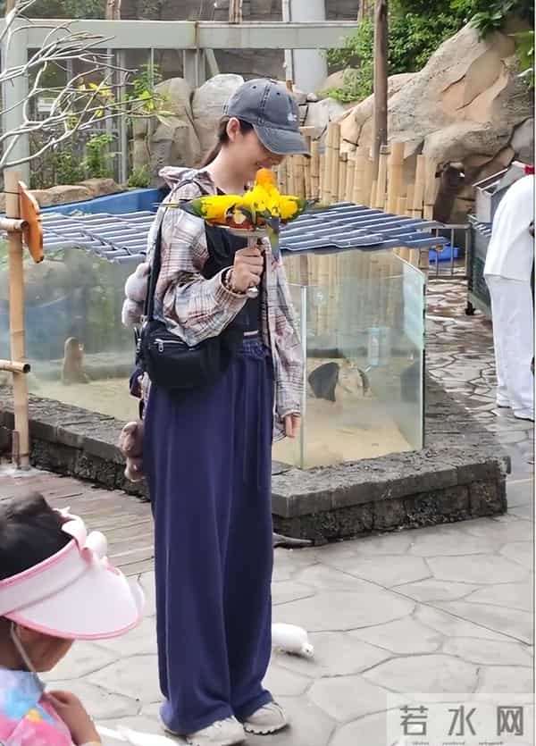 郭碧婷三亚海边捡石头,素颜眼窝深凹很疲惫,带5位助理照顾父亲