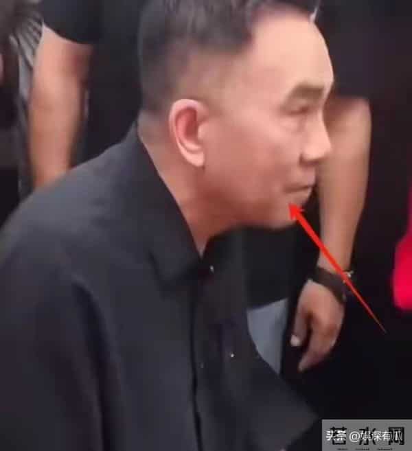 同样都是父亲离世,将杨议和罗晋放到一起,差的不是一丁半点