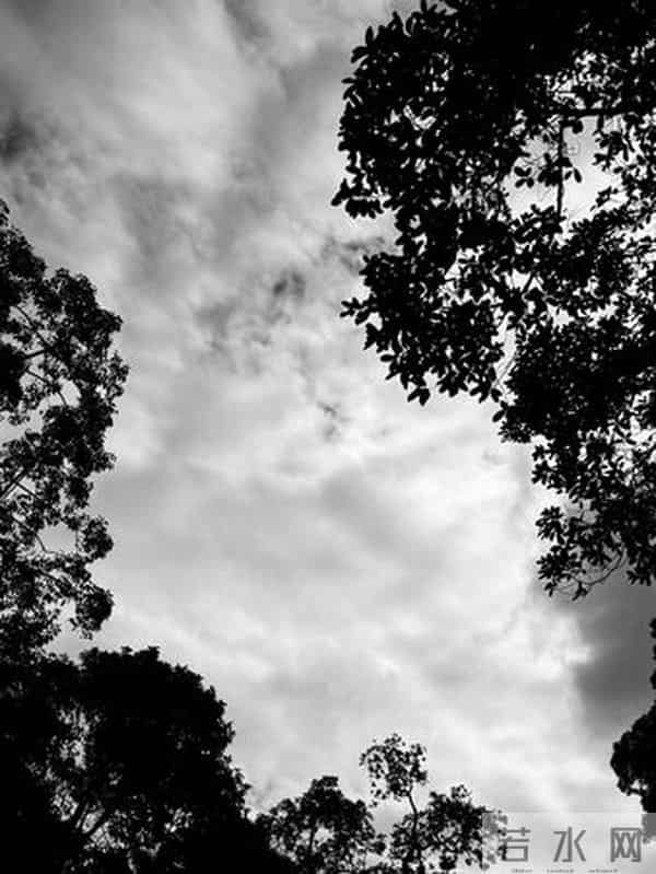 香港大火酿151死　郑秀文「拍戏空档冲教堂祈祷」：心情很沉重