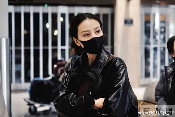 高圆圆接机美图来袭