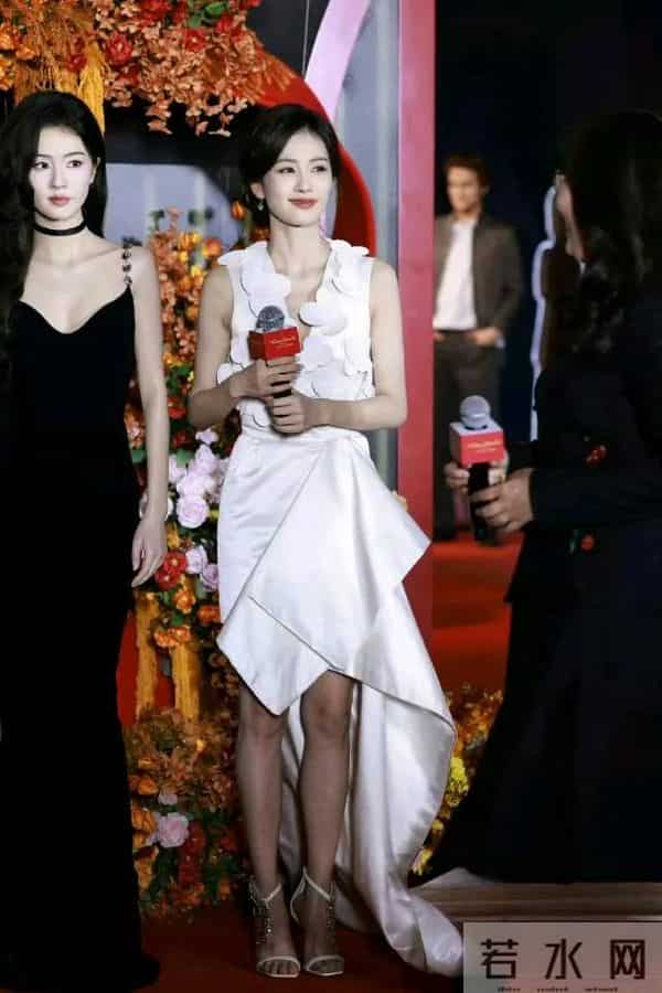 红地毯上的——白鹿