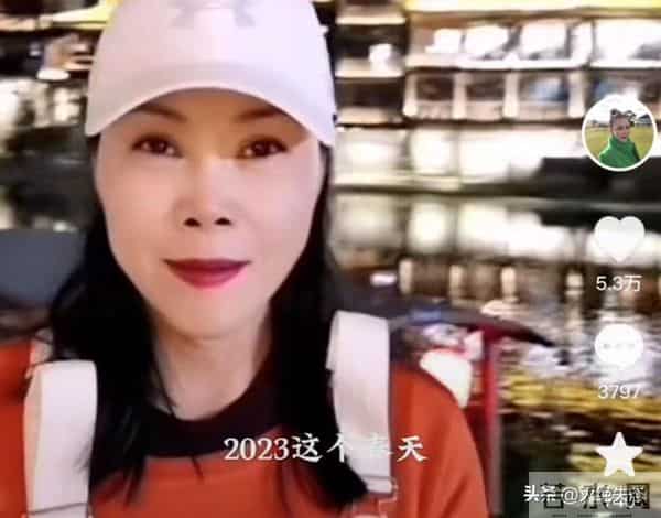 国内挣钱国外花！59岁定居澳洲的田震回国内开演唱会，遭网友群嘲