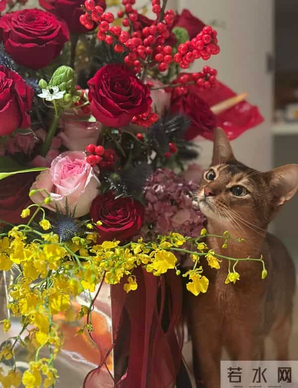 黄轩女友秀恩爱，在一起5年仍很甜，网友：这才是我们想要的嫂子