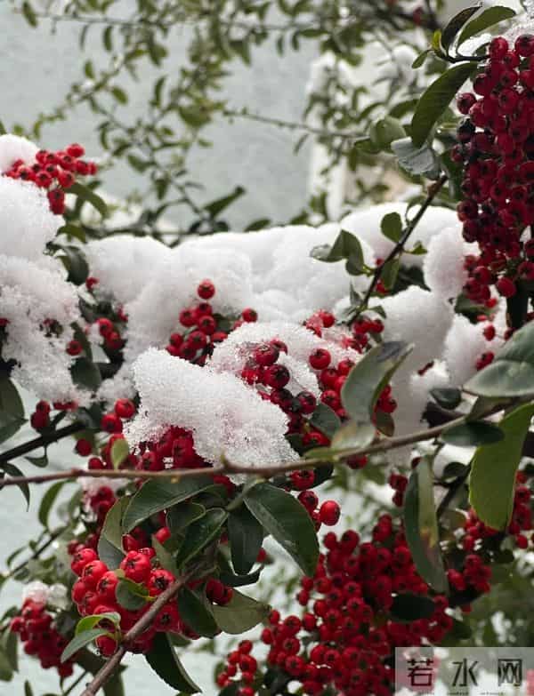 黄轩女友秀恩爱，在一起5年仍很甜，网友：这才是我们想要的嫂子